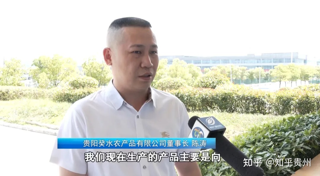 对外开放持续向好，贵阳与陕西上半年货物进出口成绩显著