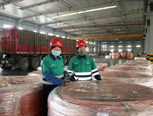 把最优质产品推向国际市场