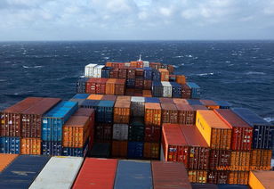 东莞到山东龙口海运集装箱物流专线 时效、厂家与价格详解（含陕西货物进出口指南）