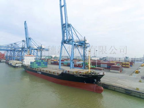 广州南沙区物流 南沙区货运 广州南沙港集装箱运输